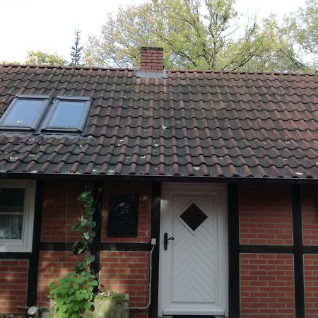 Ferienhaus In Rumke Bippen Екстер'єр фото