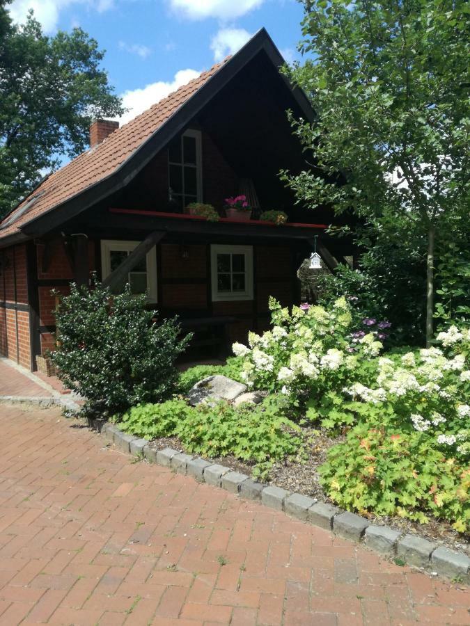 Ferienhaus In Rumke Bippen Екстер'єр фото